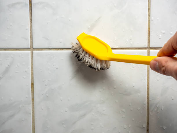 Best Mold Removal Near Me  in Westke, LA