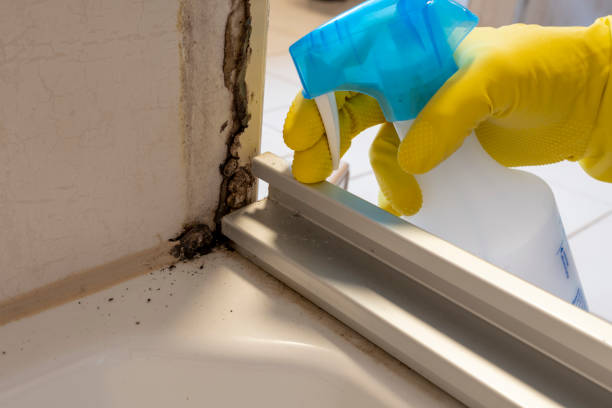 Best Mold Remediation Experts  in Westke, LA