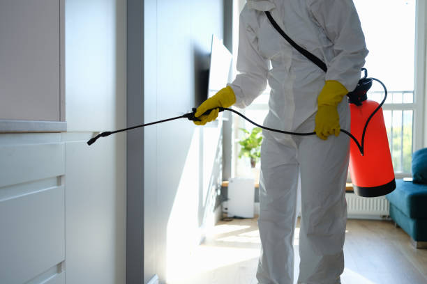 Best Home Mold Removal  in Westke, LA