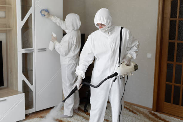 Best Black Mold Removal  in Westke, LA