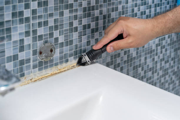 Mold Removal and Inspection in Westlake, LA