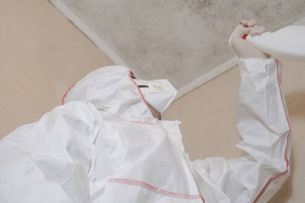 Best Mold Testing  in Westke, LA