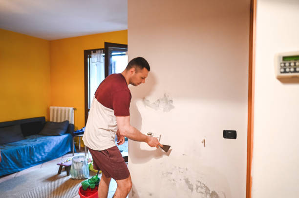 Best Residential Mold Removal  in Westke, LA
