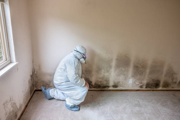 Crawl Space Mold Removal in Westlake, LA